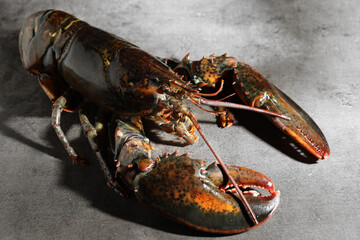 Raw lobster on grey textured table, closeup