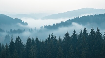 Obraz premium Misty mountain forest panorama; fog rolling through evergreen trees; scenic nature background for travel brochure