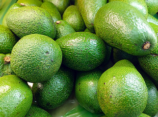 A vibrant display of fresh green avocados at a market, ideal for health, nutrition, vegan lifestyle, and clean eating visuals.