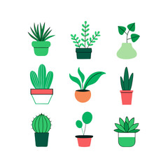 set of indoor-plants