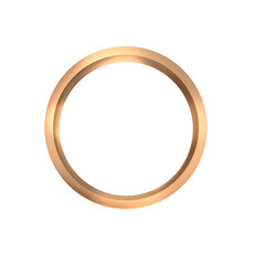 Rose Gold Double-Ringed Circular Frame, Minimalist Design