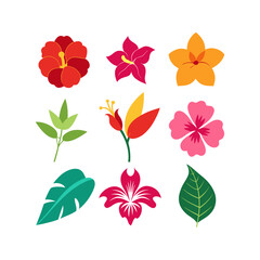 Fototapeta premium set of colorful flowers