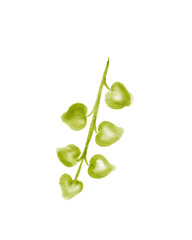 Watercolor Heart-Shaped Leaves on Olive Green Stem