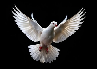 Peace, freedom, and hope take flight: a white dove silhouetted against a stark black background for International Peace Day.