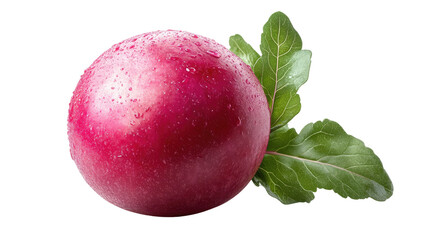 You've reached our limit of messages per hour Please try again later