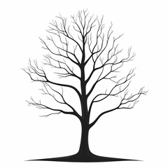 Fototapeta premium Minimalist Silhouetted Tree Branch: Black and White Illustration of Nature's Seasonal Artwork