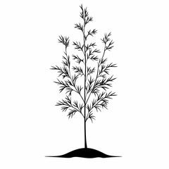Obraz premium Black and White Tree Silhouette Illustrates Natural Growth and Eco-Friendly Harmony