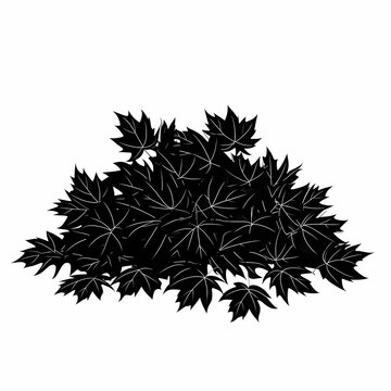 black maple leaves pile on white clip art preview