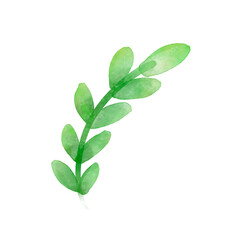 Watercolor Green Sprig: Delicate Leaf Branch Illustration