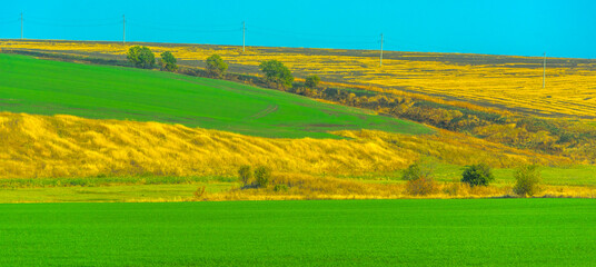 a bright and contrasting rural landscape consisting of multi-level bands of color - rich green crops in the foreground, golden patches of dry grass on the hillside, 