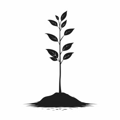 Black and White Illustration of Sapling in Soil: A Tribute to Nature, Growth, and Sustainability