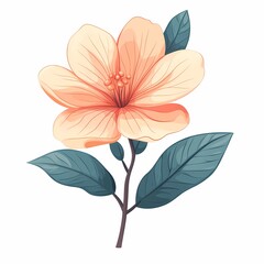 Modern Botanical Illustration of Vibrant Orange Magnolia Flowers: Stylish Floral Art Design