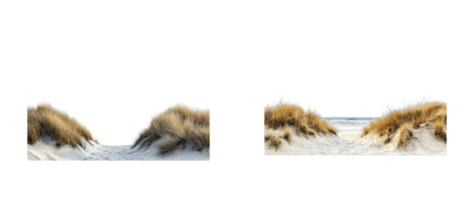 Beach pathway through dunes coastal area nature calm. Cut out set