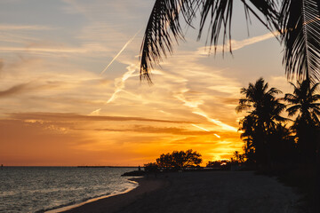 Beautiful colorful sunset at the beach. Summer vacation in Florida. Key West, Florida, US. Palm trees are close up on sunset at the beach. 
