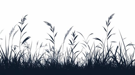 Silhouette of Grass Blades in a Tranquil Rural Meadow - Abstract Nature Background