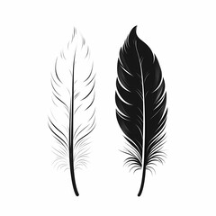 Obraz premium Black and White Feather Illustration Design. Nature-Inspired Art with Delicate Elegance and Soft Textures