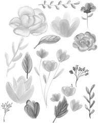 Monochromatic Watercolor Floral Elements: Greyscale Botanical Illustrations