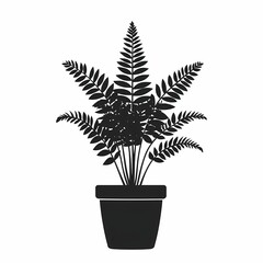 Lush Indoor Fern Houseplant: Greenery and Aesthetic Balance for Eco-Friendly Interior Design