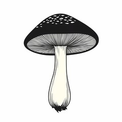Black and White Botanical Illustration of Mushrooms and Fungi: A Nature Lover's Guide to Forest Flora