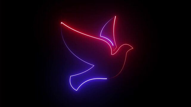 abstract glowing Neon bird icon animation. flying bird concept on black background.