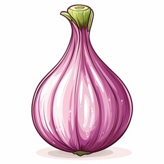 Red Onion Illustration: Organic Vegetable for Healthy Cooking and Recipes