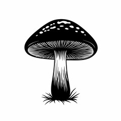 Vintage Black and White Mushroom Illustration: Fungi, Mushrooms, and Eco-Friendly Nature Art