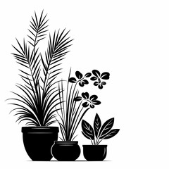 Ornamental Potted Plant Silhouette. Elegant Interior Design with Exotic Houseplants and Nature-Inspired Digital Art