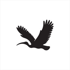 eagle vector illustration