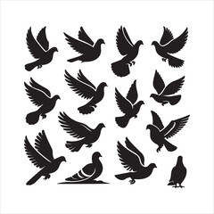 set of vector birds