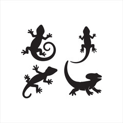vector image of a dragon