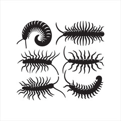 vector illustration of a set of Insect elements