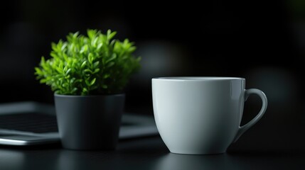 Simple workspace, cup of coffee, small plant