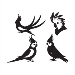 silhouette of a bird