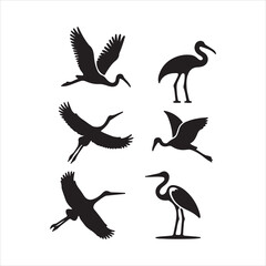 silhouettes of birds