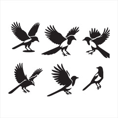 set of silhouettes of birds