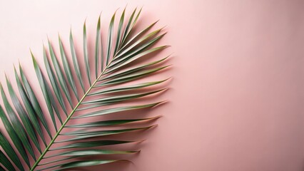 Fototapeta premium Serene Palm Frond on a Soft Pink Background, a Minimalist Botanical Image Ideal for Relaxation and Wellness Designs