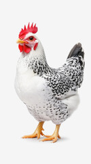 Fototapeta premium Cute 3d illustration of a chicken standing on a white surface capturing its adorable features and playful nature in detail