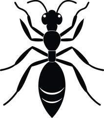 Ant vector illustration 