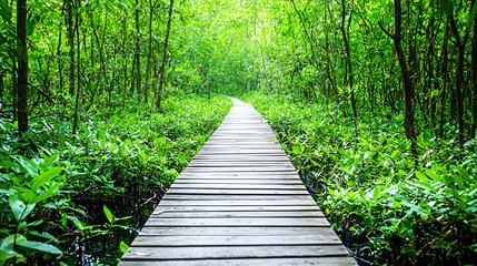 Obraz premium Wooden Path Through Tranquil Green Forest Oasis Nature Walk Scenic Route Calm Journey