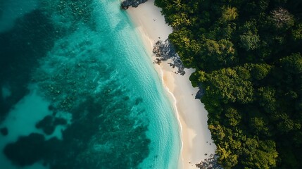 Aerial View Turquoise Sea Meets White Sand Beach and Lush Green Tropical Forest