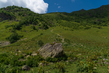 Alpine meadows on the slope of the mountains of the North Caucasus in the valley of the Malaya Dukka River on a sunny summer day, Arkhyz, Karachay-Cherkessia, Russia © Ula Ulachka