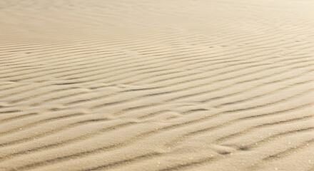 Obraz premium Sand Dune Texture with Wind Ripples in a Desert Landscape