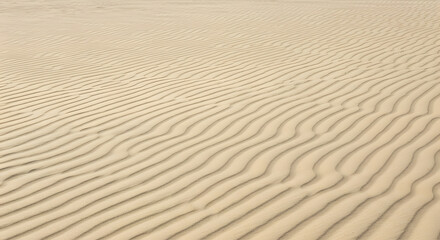Obraz premium Sand dune wave patterns in desert landscape with natural formations