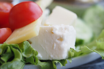 Fresh salad with tomatoes, feta, and greens on a sunny table