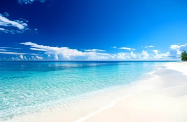 Tableau sur plexiglas Plage et Mer A serene tropical beach with clear water and a bright blue sky, perfect for relaxation and escape from daily life.  © Earny