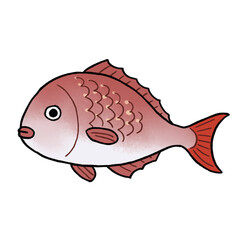 真鯛のイラスト
