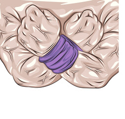 Solidarity Fists, Symbol of Unity and Activism.