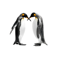 Naklejka premium Romantic penguins forming heart shape in nature wildlife photography antarctic environment close-up view