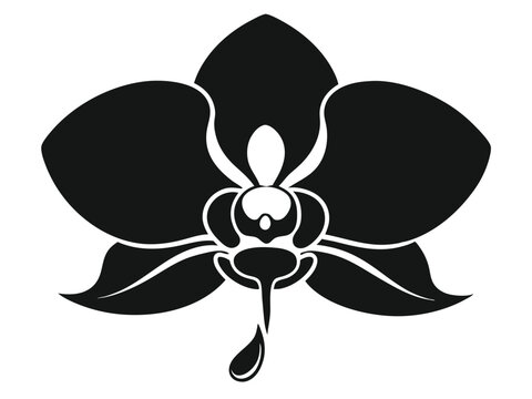 recommend clip art: Orchid Bloom Silhouette, Minimal Orchid Silhouette, Orchid Outline vector