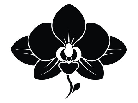 recommend clip art: Orchid Flower Silhouette vector, Orchid Flower icon, Tropical Orchid Silhouette. Floral Vector Illustration